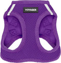 Best Pet Supplies Voyager Step-in Air Harness - All Weather Mesh, Reflective, No Pull Harness for Dogs, Cats - Secure with Hook & Loop Fastener, Buckle, Double D-Rings - Purple, XXXS