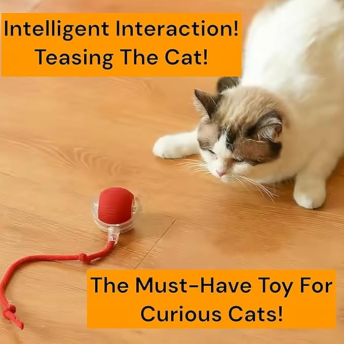 Interactive Electric Automatic Rolling Moving Rechargeable Self Play Stimulation Toy,Smart Pet Chase with Speedy Tail Rope for Bored Indoor Cats (Green)