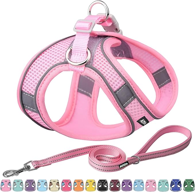 AIITLE Dog Harness, No-Pull Cat Harness with a Leash, Adjustable Reflective Dog Vest, Cat Harness Escape Proof, Outdoor Walking, Running,Training for Extra Small Dogs and House Cats Pure Pink XXXS