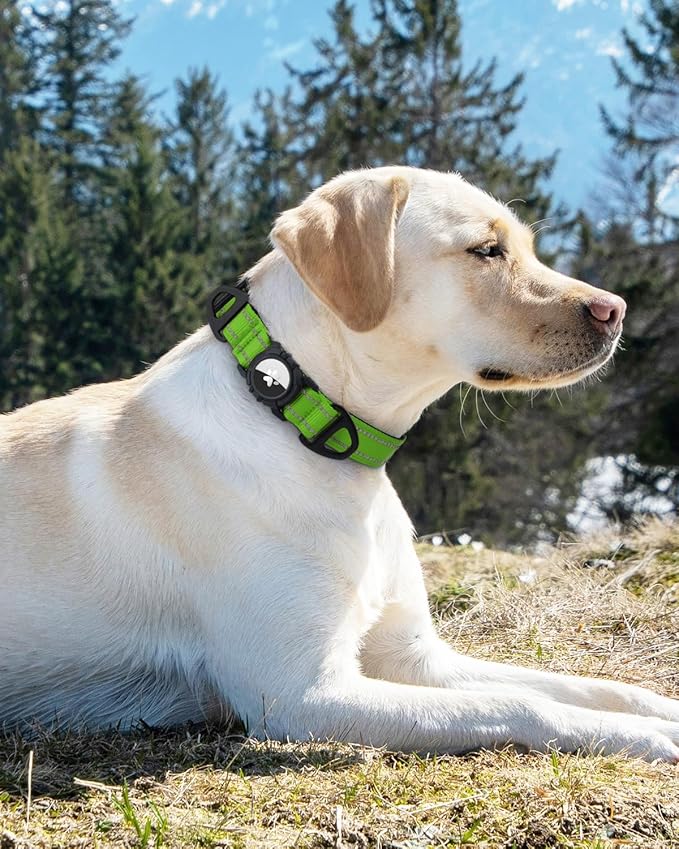 Joytale Airtag Dog Collar, Reflective Pet Collar with Waterproof AirTag Holder, Dual D-Rings, Soft Padded Adjustable for Large Dogs, Green, L