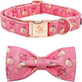 Elegant Little Tail Dog Collar with Bow, Adjustable Halloween Pumpkin Bowtie Collar for Small to Large Dogs