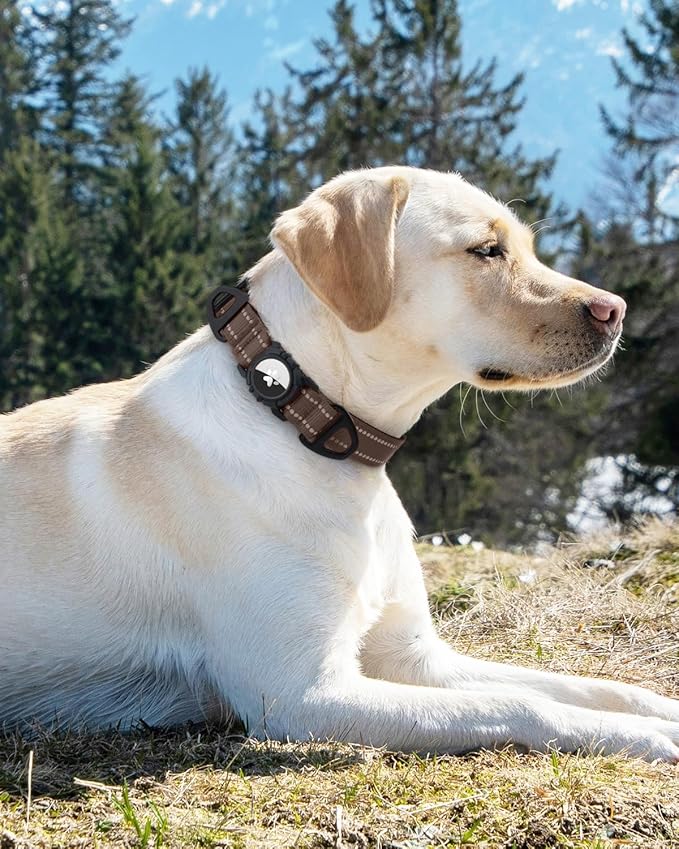 Joytale Airtag Dog Collar, Reflective Pet Collar with Waterproof AirTag Holder, Dual D-Rings, Soft Padded Adjustable for Small Dogs, Brown, S
