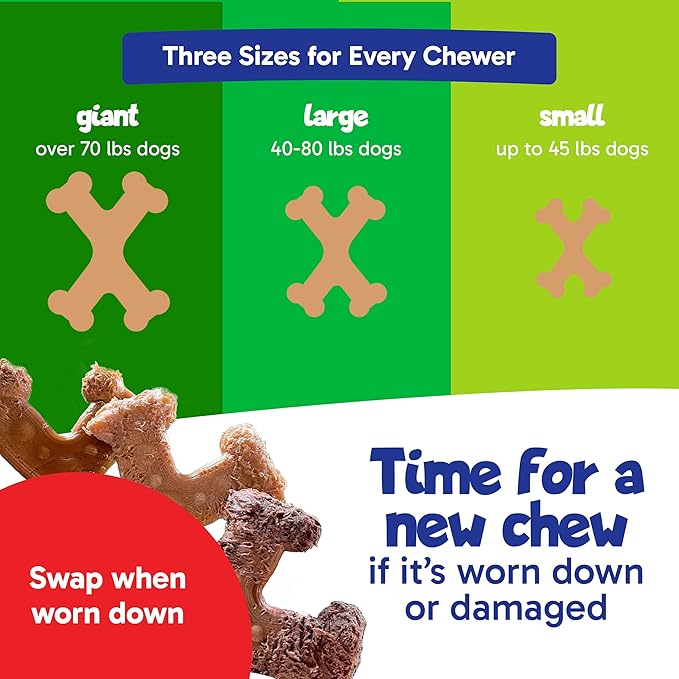 Chew’EMS X Bone Dog Chew Toy for Aggressive Chewers – Long-Lasting Beef Flavor Nylon Bone – Durable, Rawhide-Free Dental Toy - Small Size – Made in USA
