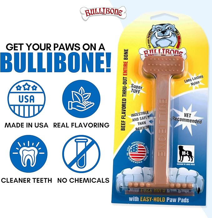 Bullibone Nylon Dog Chew Toy for Aggressive Chewers - Dental Hygiene Bone with Beef Flavor, Durable Tough Chew Toys for Small Dogs, Indestructible Dog Bone - Single