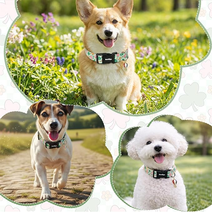 St. Patrick's Day Dog Collar,Puppy Collar with Lucky Shamrock Chequered Pattern,Adjustable Spring Cotton Collars Gifts for Small Medium Large Dogs,Dog Accessories S