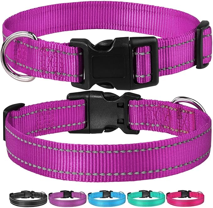 Reflective Dog Collar with Buckle Adjustable Safety Nylon Collars for Small Medium Large Dogs, Purple XL