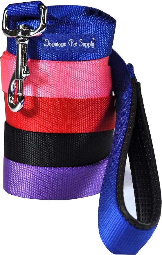 Downtown Pet Supply 6ft Heavy-Duty Dog Leash - Padded Comfort Handle & Stainless Steel Fastener - 0.75in Wide Blue Leash