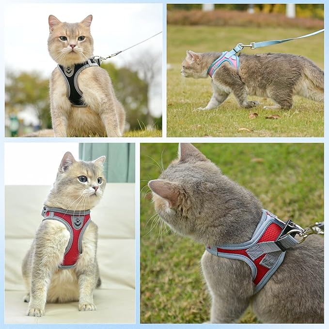SCENEREAL Cat Harness and Leash Set Escape Proof, Adjustable Soft Air Mesh Kitten Harnesses for Girls Boys Small Medium Big Cats, Reflective Light Travel Pet Walking Vest for Puppy Rabbit, Red L