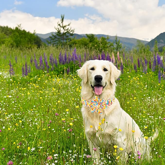 Lionheart glory Dog Collar with Flower, Sunflower Pattern Pet Collar Durable Cute Dog Flower Collars Summer Spring Female Pet Gift Adjustable Dog Collar for Medium Dogs
