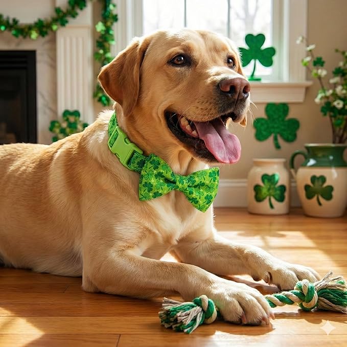 St. Patrick's Day Dog Collar with Bow Tie Set, Green Shamrock Clover Pattern Pet Collar, Adjustable Lucky Irish Holiday Neckwear for Small, Medium, and Large Dogs