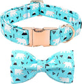 Dog Collar, Bow Collar Blue Bear Pattern Pet Collar Cute Bow Tie Soft Girl Boy Dog Collars with Metal Buckle for Medium Dogs