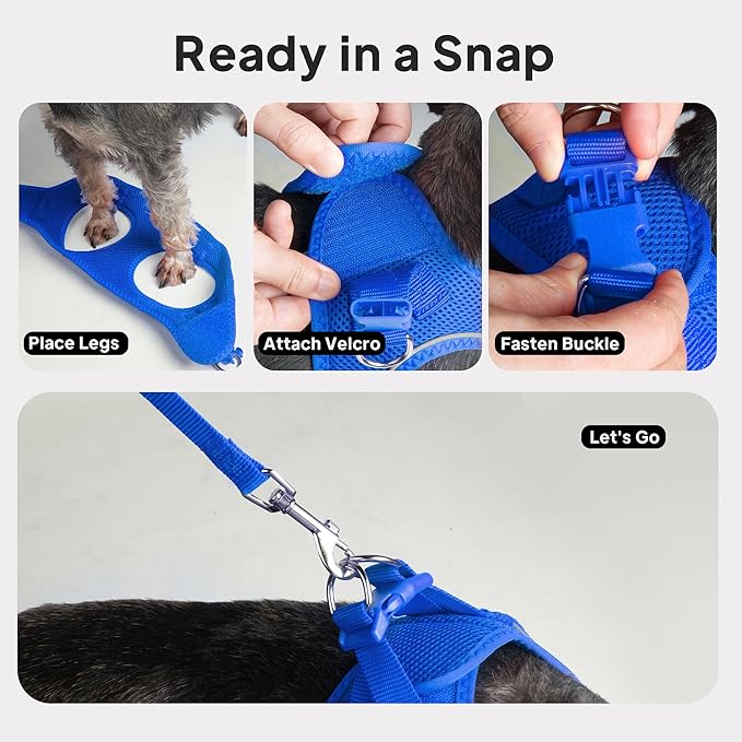 PetiFine Cat Harness and Leash Set,Escape Proof Kitten Harness Reflective,Soft Lightweight Puppy Harness for Walking and Travelling(XXS, Baby Blue)