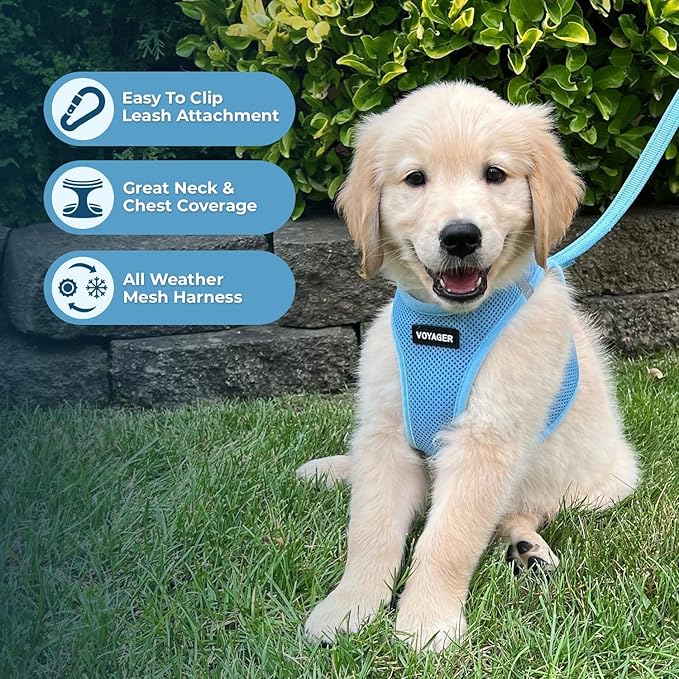 Best Pet Supplies Voyager Step-in Air All Weather Mesh Harness and Reflective Dog 5 ft Leash Combo with Neoprene Handle, for Small, Medium and Large Breed Puppies - Set (Baby Blue), XS