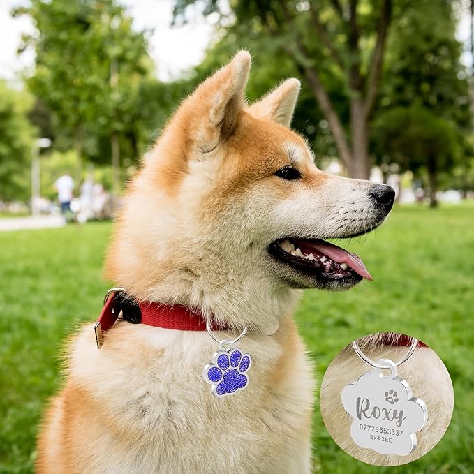 EDSG Cat Dog Tags Personalized for Pets, Dog Name Tags Cat Name ID Tag, Engraved Dog Tags Dog ID Tags Small Glitter Bling ID Tag Paw Print for Cat Pet Dog Puppy(Red,Design 4)