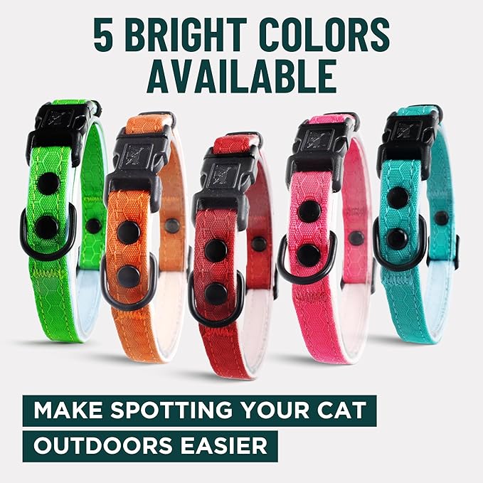 OutdoorBengal Green Breakaway Kitten Collar - Ultra Safe Quick Release Cat Collar for Small Kittens Under 6 Months – Soft-Padded, Lightweight, Adjustable, Thin and Comfortable, No Bell (Green, Kitten)