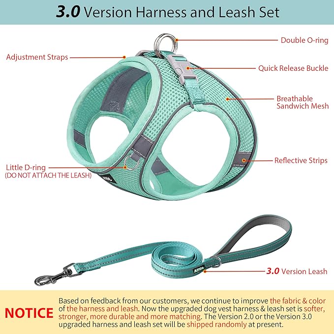 AIITLE Step in Dog Harness and Leash Set - No Pull Escape Proof Vest Harnesses with Soft Mesh and Reflective Bands, Adjustable Pet Outdoor Harnesses for Small and Medium Dogs Pure Turquoise M