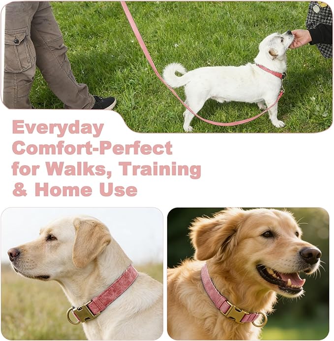 Genuine Leather Dog Collar - Adjustable Pet Collar with Quick Release Metal Buckle, Soft Skin Friendly Real Leather Collar for Small, Medium, Large Dogs (Pink Collar + Rope, M：Fit 12-20" Neck)