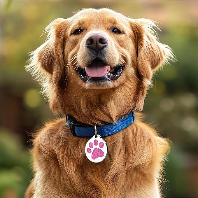 Dog Tags Personalized for Pets Dog Name Tags Personalized Dog Tag Engraved with Any Name & Text Custom Dog ID Tags Glitter Bone ID Tag for Puppy Cat (Purple-Round, S)