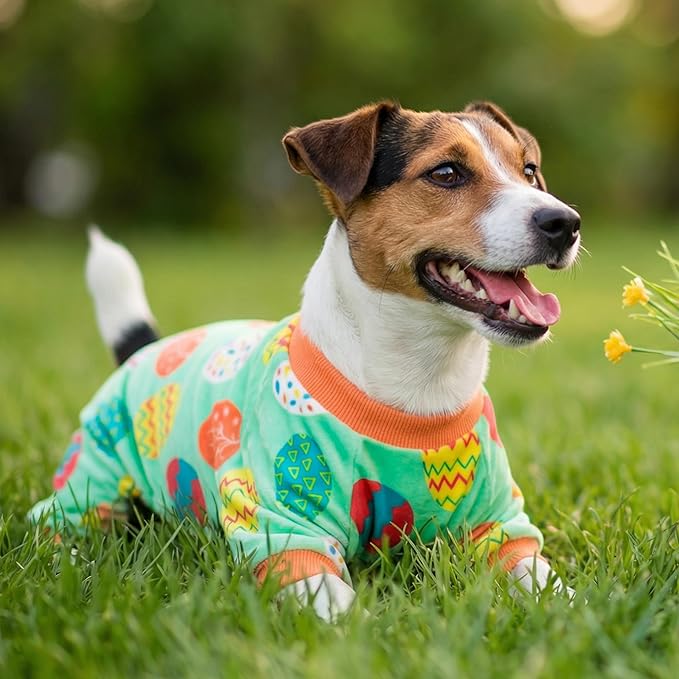 Fitwarm Easter Egg Dog Pajamas, Holiday Dog Clothes for Small Dogs Girl Boy, Pet Easter Outfit, Puppy Cat Onesie, Lightweight Velvet, Light Green, Orange, Small