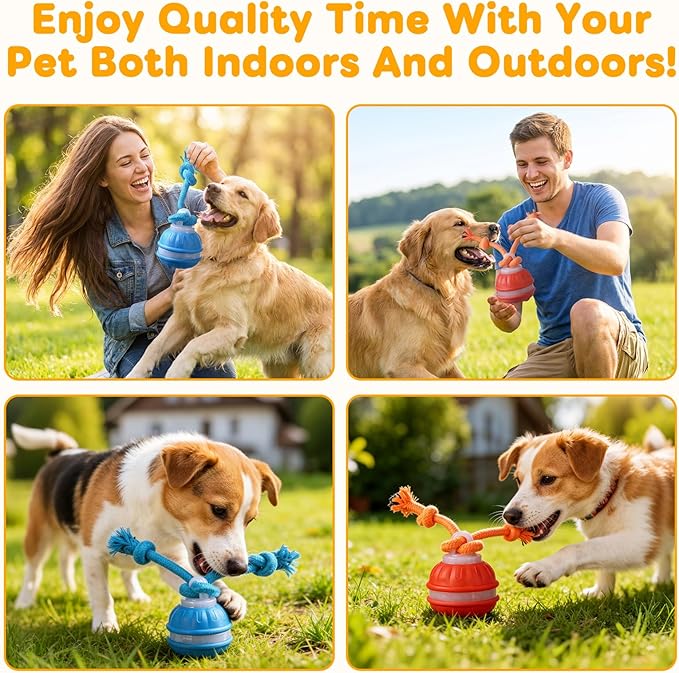 Interactive Dog Toys,Upgraded Motion Activated Rolling Dog Ball Toy for Small/Medium Dogs,Smart Automatic Rolling Toy with USB Rechargeable,Interactive Dog Balls(2PCS)