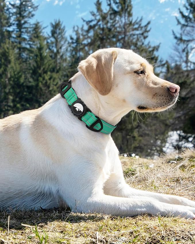 Joytale Airtag Dog Collar, Reflective Pet Collar with Waterproof AirTag Holder, Dual D-Rings, Soft Padded Adjustable for Medium Dogs, Teal, M