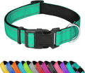 Reflective Dog Collar, Adjustable Soft Neoprene Padded Nylon Pet Collars with Buckle for Puppy and Small Dogs, Cats, Grass Green,XS
