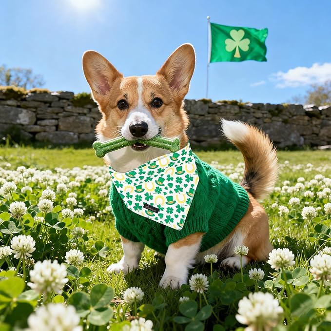 ARING PET St Patrick's Day Dog Bandana, Cute Green Shamrocks Pet Bandanas Scarf Triangle Bibs Handkerchief for Puppy Small Medium Large Boy Girl Dogs-L