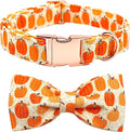 Dog Collar - Halloween Pumpkin Bowtie Pet Collar Gift Soft Bow Collar Pet Adjustable Metal Buckle Dog Collar for Medium Dogs