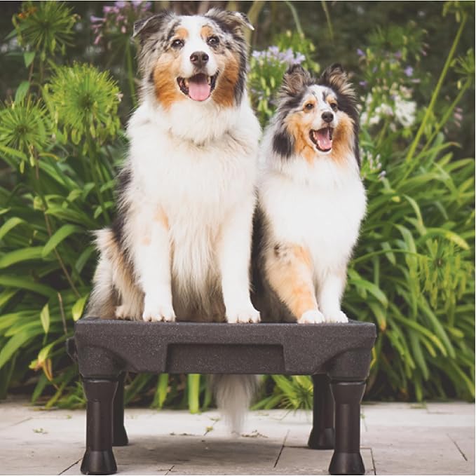 Blue-9 Pet Products KLIMB Dog Training Platform and Agility System, Durable and Portable for Indoor or Outdoor Use, Made in The USA, Blue