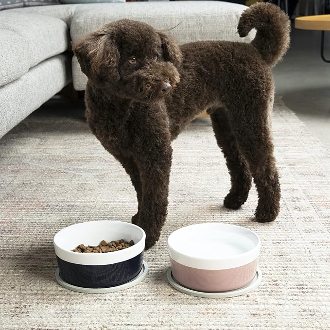 Waggo Habit Silicone Dog Placemat – Set of 2 Modern Heavyweight Silicone Dog Food Mats, Dishwasher Safe, Non-Slip, Solid Color – Black (Large, 9")