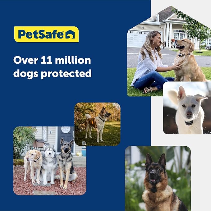 PetSafe Stubborn Dog In-Ground Fence Reciever Collar - Waterproof & Battery-Operated Adjustable Invisible Boundary Training Collar - for Dogs Older Than 6 Months Weighing 8lb+