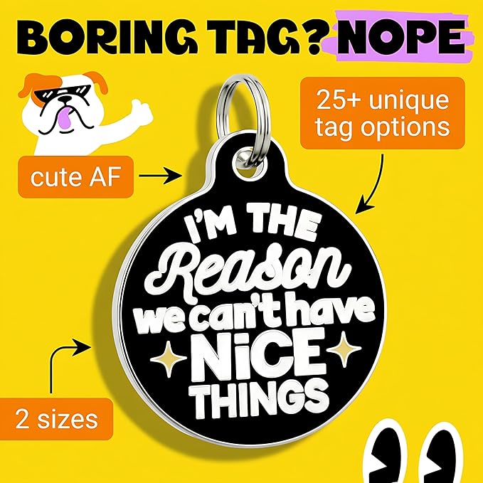 Bad Tags Personalized Dog and Cat ID Tags in 25+ Designs and 2 Sizes - 5 Lines of Custom Engraved Text - Funny Cute Personalized Pet Tags (I'm The Reason We Can't Have Nice Things, Small (1 inch))