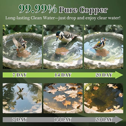 99.99% Pure Copper Bird Bath Disk, 2 Pack Triple-Point Support Design Lower Cleaning Frequency for Physical Safe Water Purify Outdoor Bird Bowls All-Season