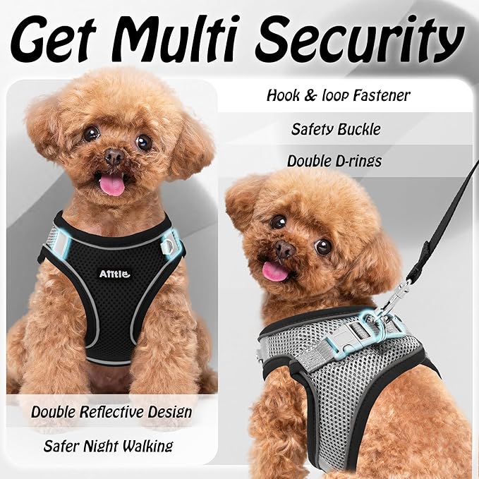 AIITLE Comfortable Dog Harness and Leash Set for Walking - Step in Vest Harness,Reflective Bands, Adjustable No Pull Puppy Essentials, for Small Dogs and House Cats Black XS