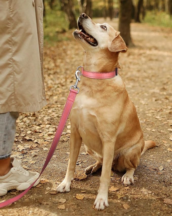 TagME Reflective Nylon Dog Collars, Adjustable Classic Pet Collar with Quick Release Buckle for Small Dogs, Baby Pink, 3/4" Width