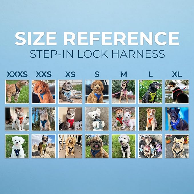 Voyager Step-in Pet Harness - All Weather Mesh, Adjustable Step in Harness for Cats and Dogs by Best Pet Supplies - Orange, M