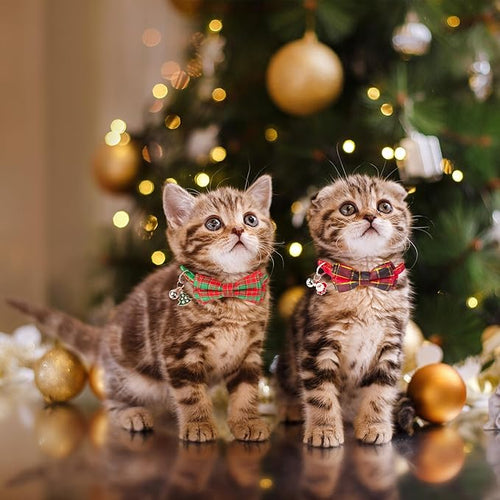 ADOGGYGO Christmas Cat Collars with Bow Bell, Breakaway Red Green Plaid Christmas Bowtie Collars for Girl Boy Cats Kittens