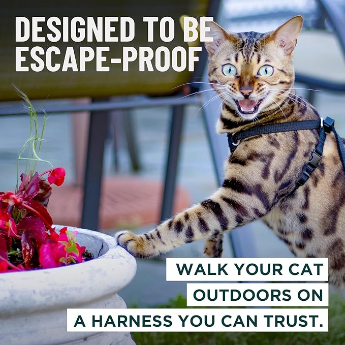 Houdini™ Escape Proof Cat Harness and Leash Set by OutdoorBengal – Orange, Large Cat Harness for Walking Big Cats
