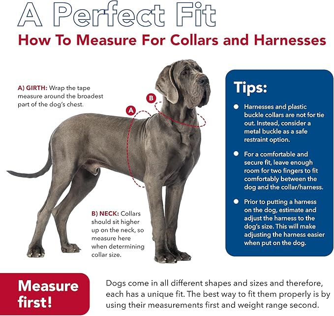 Coastal Pet K9 Explorer Reflective Adjustable Dog Collar - Comfortable Collar for The Outdoors - Durable, Lightweight Accessory with Side-Release Buckle - Berry, 5/8" x 8-12"