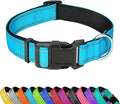 Reflective Dog Collar, Adjustable Soft Neoprene Padded Nylon Pet Collars with Buckle for Puppy and Small Dogs, Cats, Sky Blue,XS