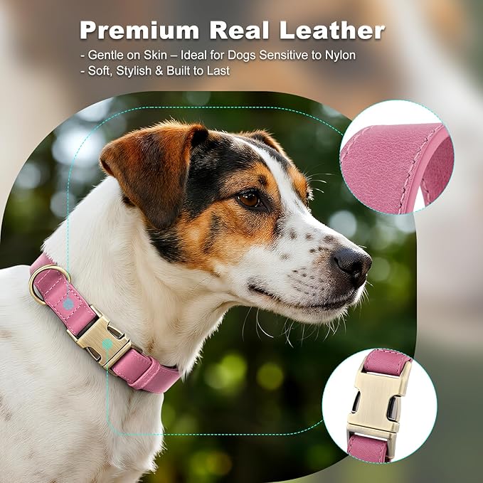 Plutus Pet Genuine Leather Dog Collar – Adjustable Pet Collar with Quick Release Metal Buckle, Soft Real Leather for Small Medium Large Dogs, Heavy Duty & Skin-Friendly (Pink, XS)