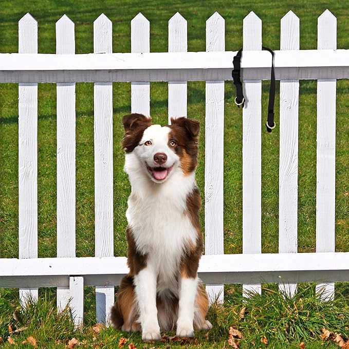 PetSafe KeepSafe Collar for Dogs - Protects Against Collar Accidents - Long Lasting - Durable - Adjustable - Breakaway - Outdoor-Safe - Medium - 1 In. Wide - Red