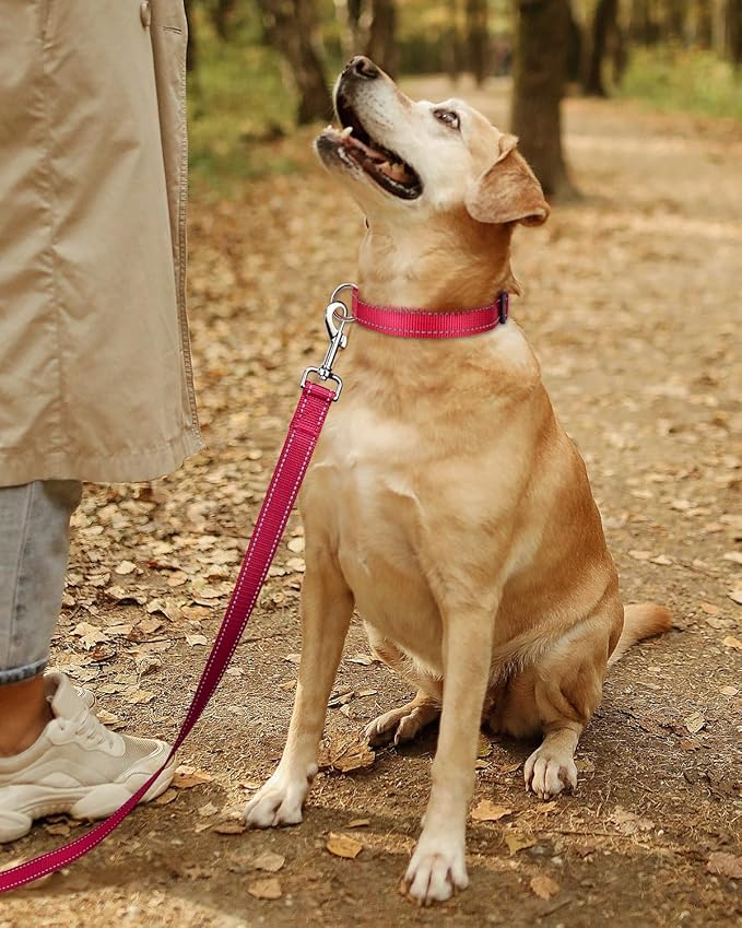 TagME Reflective Nylon Dog Collars, Adjustable Classic Pet Collar with Quick Release Buckle for Puppy, Hot Pink, 3/8" Width