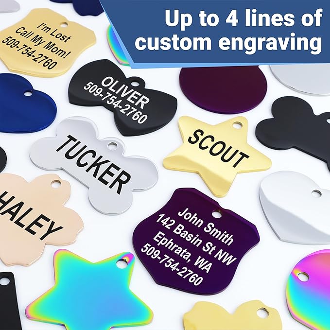 GoTags Stainless Steel Pet ID Tags, Personalized Dog Tags and Cat Tags, up to 8 Lines of Custom Text, Engraved on Both Sides, in Bone, Round, Heart, Bowtie and More (House, Regular (Pack of 1))