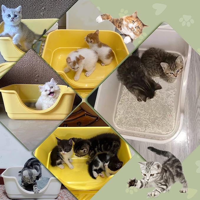 Low Entry Small Litter Box for Kittens, Kitty Plastic Litter Boxes, Open Top, Anti-Splash High Sided Litter Tray Pan for Medium Pets, Puppy, Easy to Clean, 15.7" L*11.8" W*6.7" H (Green)