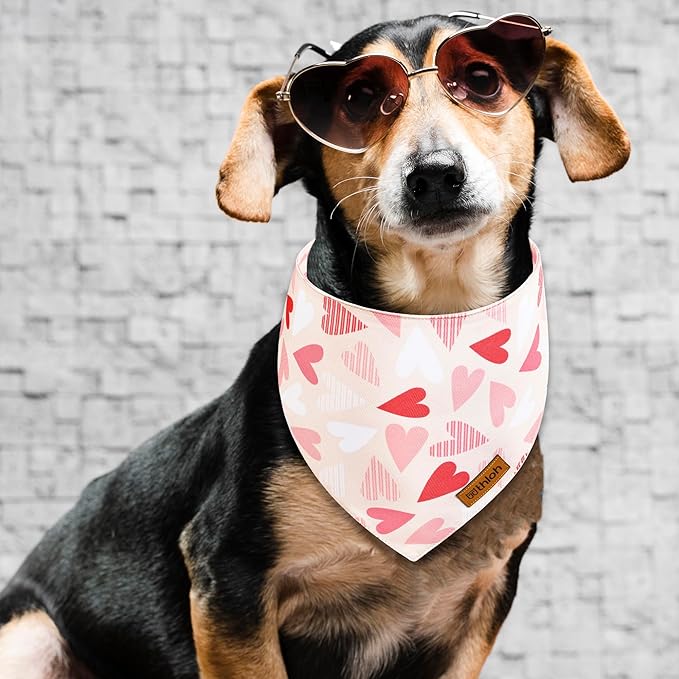 Valentines Dog Bandanas with Snap Button - 2 Pack Reversible Heart Dog Scarf for Boy & Girl, Premium Durable Fabric, Pet Bandana for Large and Extra Large Dogs (X-Large)