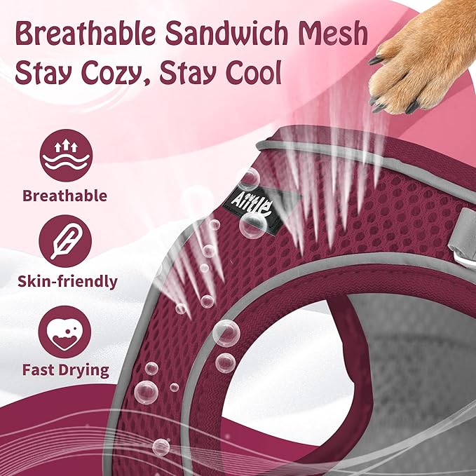 AIITLE Comfortable Dog Harness and Leash Set for Walking - Christmas Step in Vest Harness,Reflective Bands, Adjustable No Pull Puppy Essentials, for Small Dogs and House Cats Burgundy XS