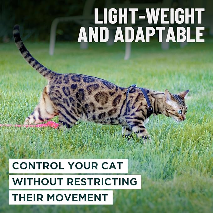Houdini™ Escape Proof Cat Harness and Leash Set by OutdoorBengal – Orange, Large Cat Harness for Walking Big Cats