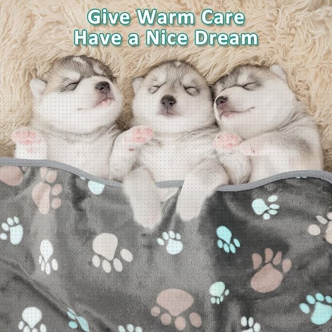 Tegeme 12 Pcs Pet Blankets Soft Fluffy Fleece Dog Cat Warm Paw Print Pattern Blankets Flannel Throw for Pets Dog Puppy Cat(23 x 16 Inch,Dark Gray)