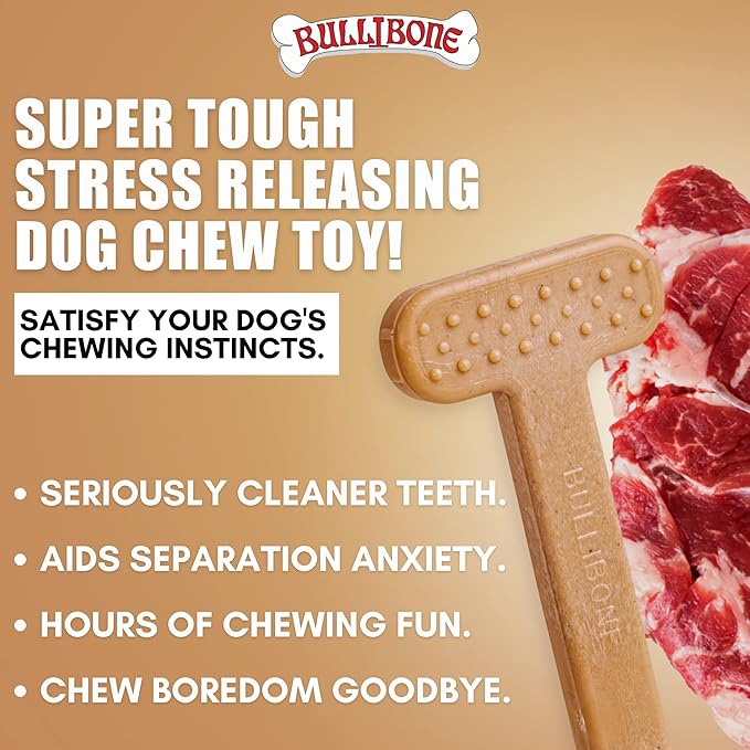 Bullibone Nylon Dog Chew Toy for Aggressive Chewers - Dental Hygiene Bone with Beef Flavor, Durable Tough Chew Toys for Small Dogs, Indestructible Dog Bone - 3 Pack